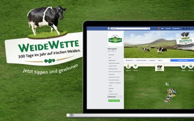 Facebook Gewinnspiel Kerrygold Weidewette