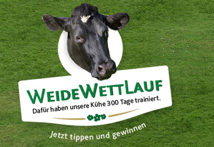 Kerrygold-Weidewette