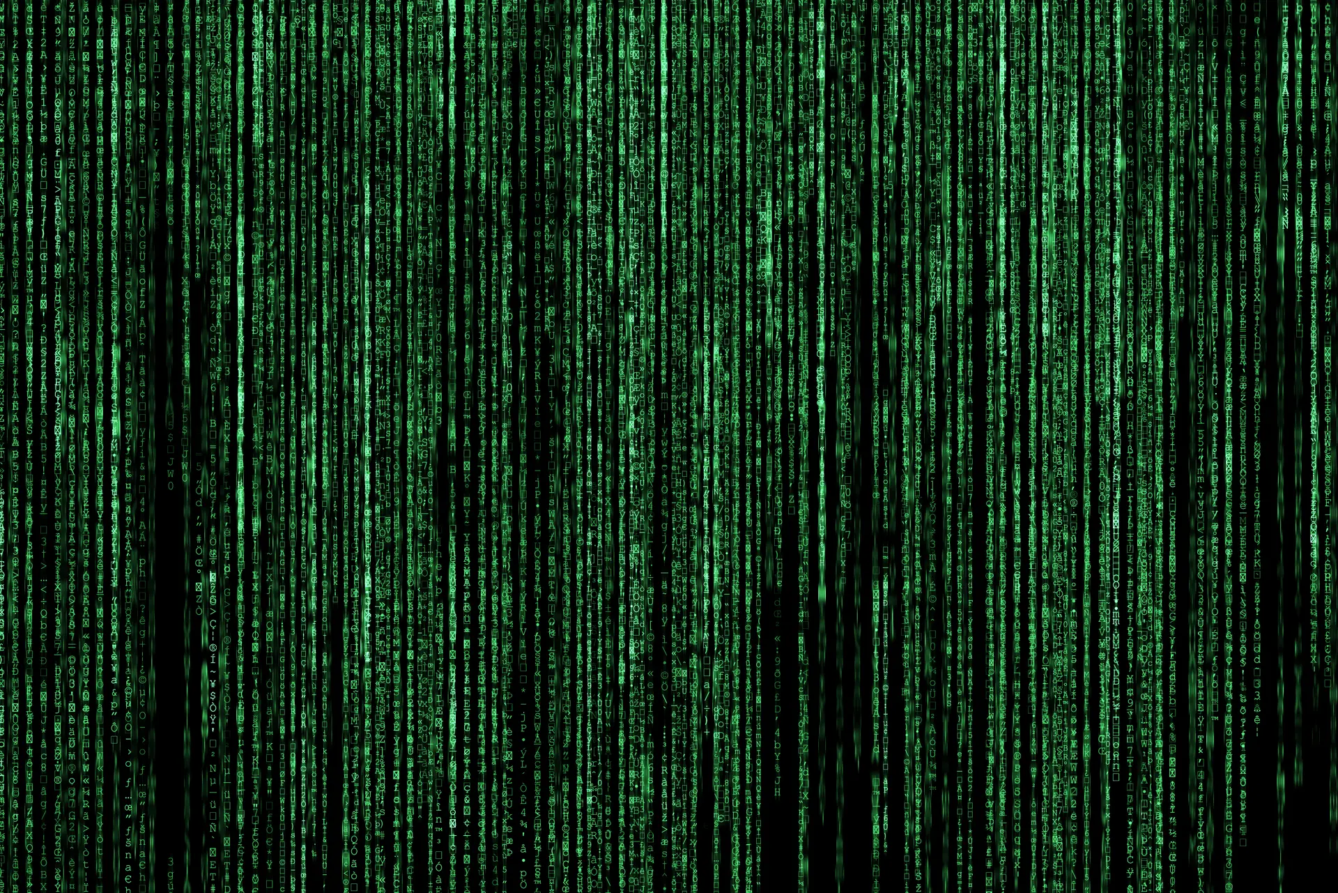 Webprogrammierung
